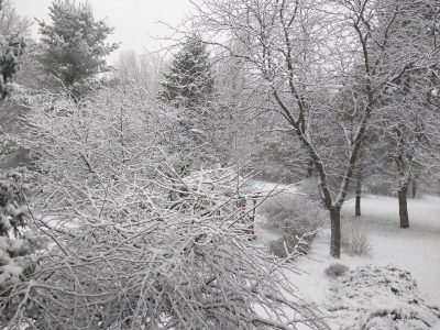 Winter Wonderland